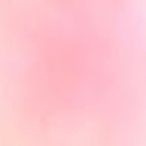 Meet your Posher, Siyi